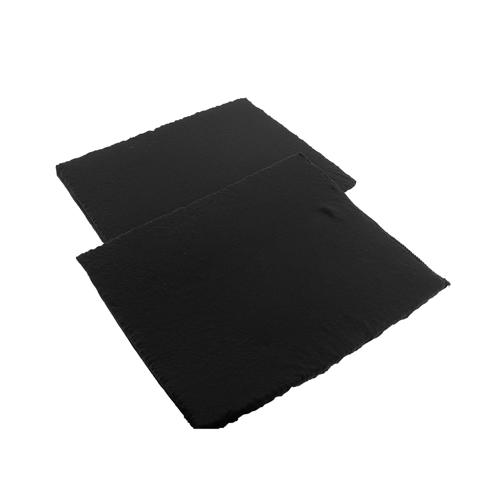 Filtro de carbono Longlife Roblin 112.0261.258 / FLL12 (2 uds.)