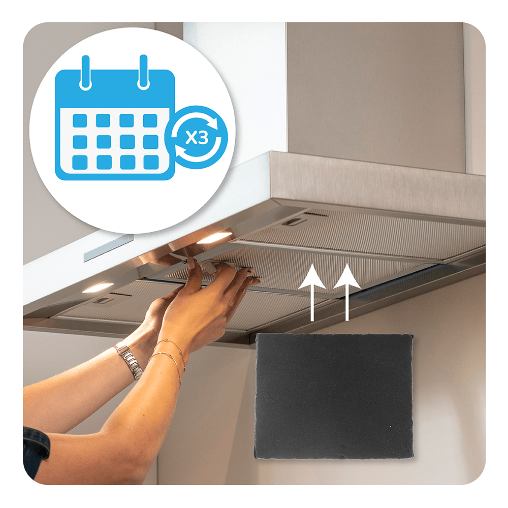 Filtro de carbono Longlife Roblin 112.0261.258 / FLL12 (2 uds.)