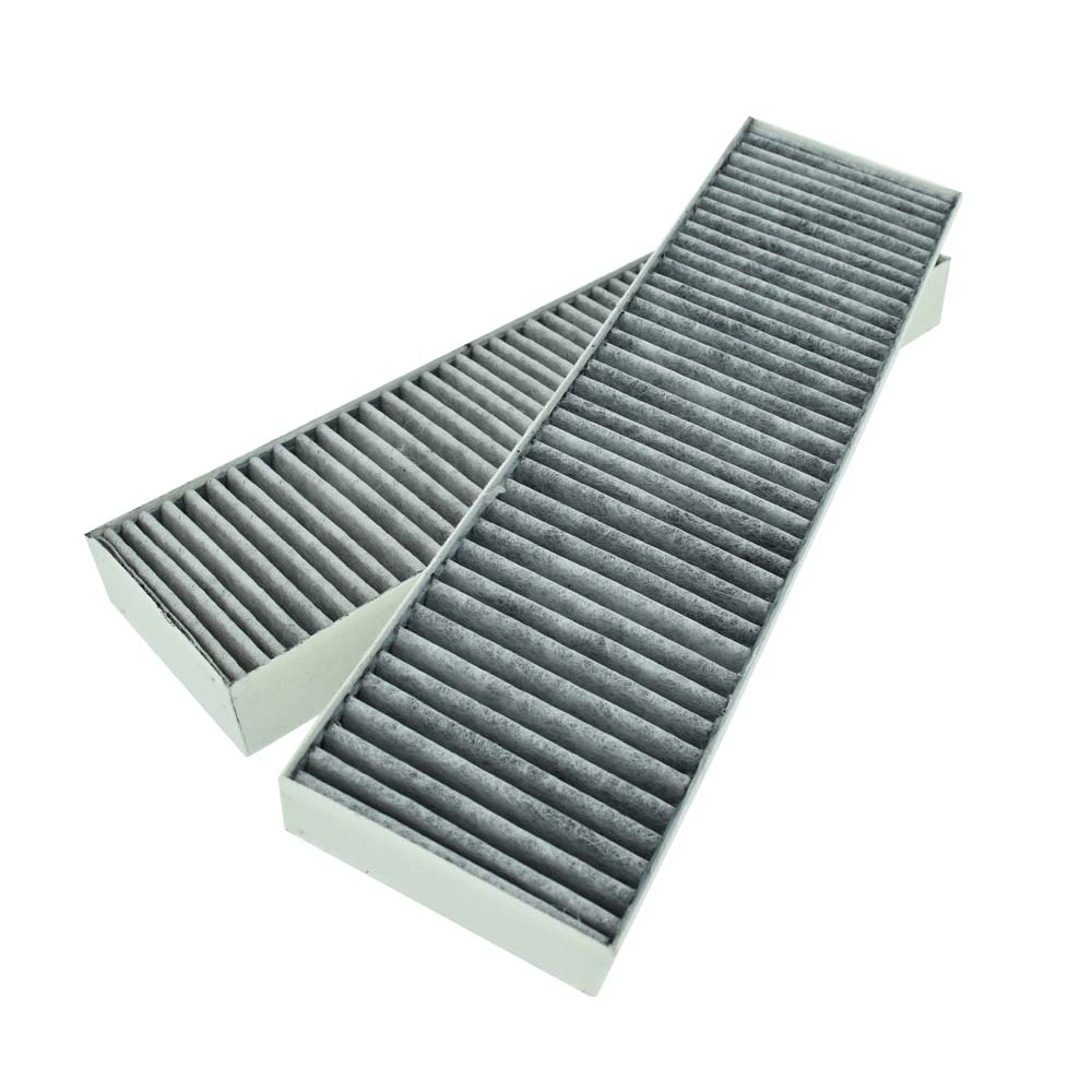 Filtro de carbono para placa con extractor Beko 165265001 (x2)