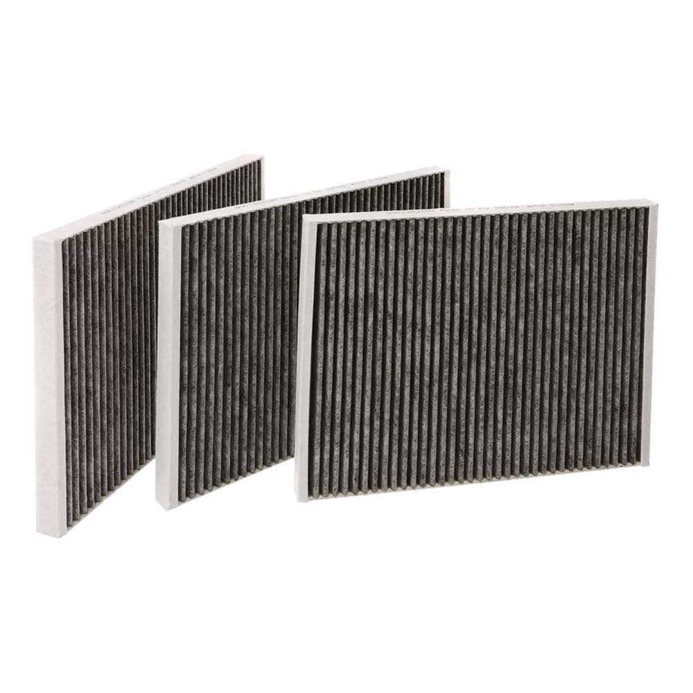 Filtro de carbono Siemens CleanAir Plus 17004041 / LZ21JXB16 (x3)