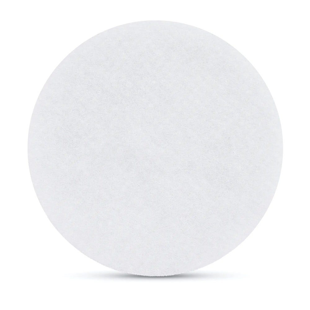Filtros de esponja Bosch compatibles con Spotless + / Advanced + (x3)