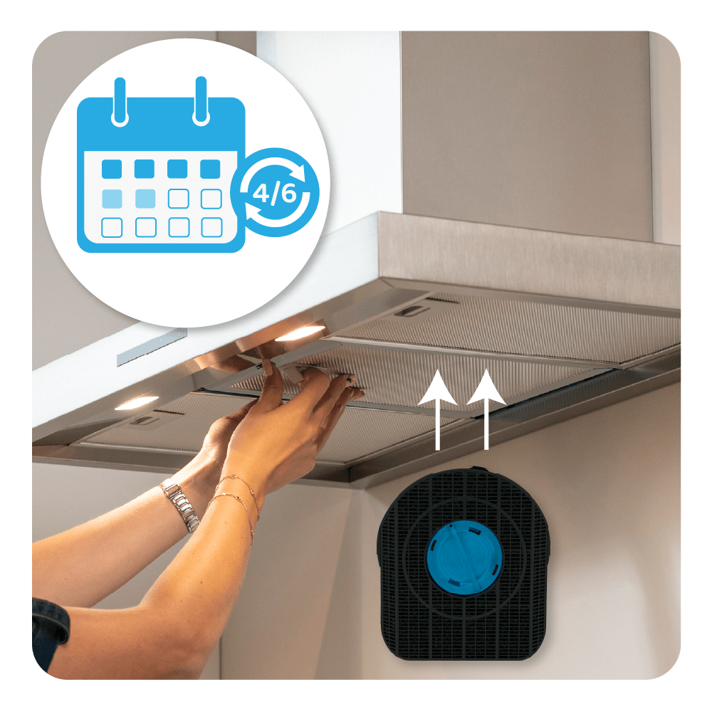 Filtro de carbono Ignis Tipo 200 / CHF200/1 / DKF42