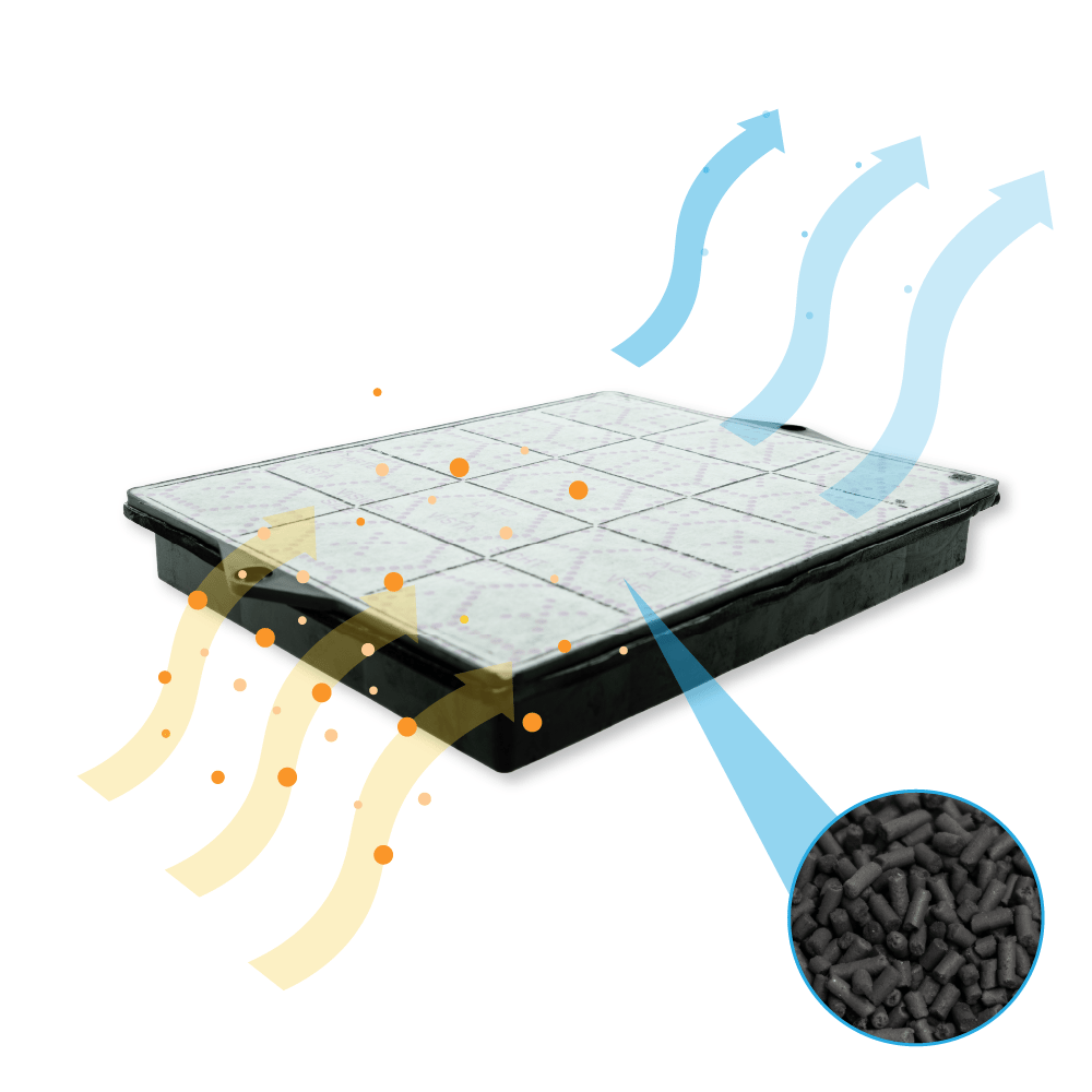 Filtro de carbono Scholtes 484000008693