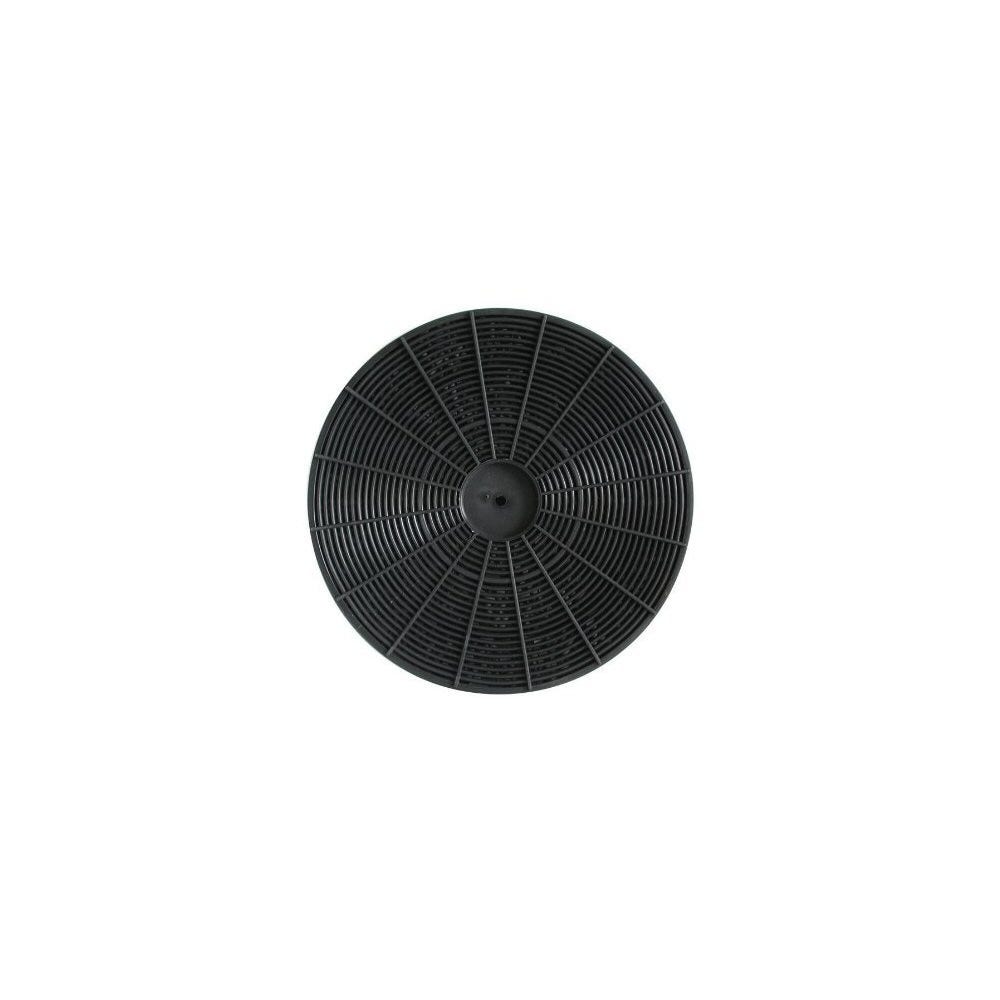 Filtro de carbono Indesit 484000008788