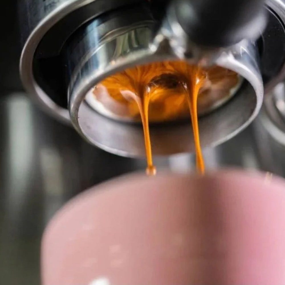 Placa de distribución de agua Solis IMS Perfetta para cafetera 700.60