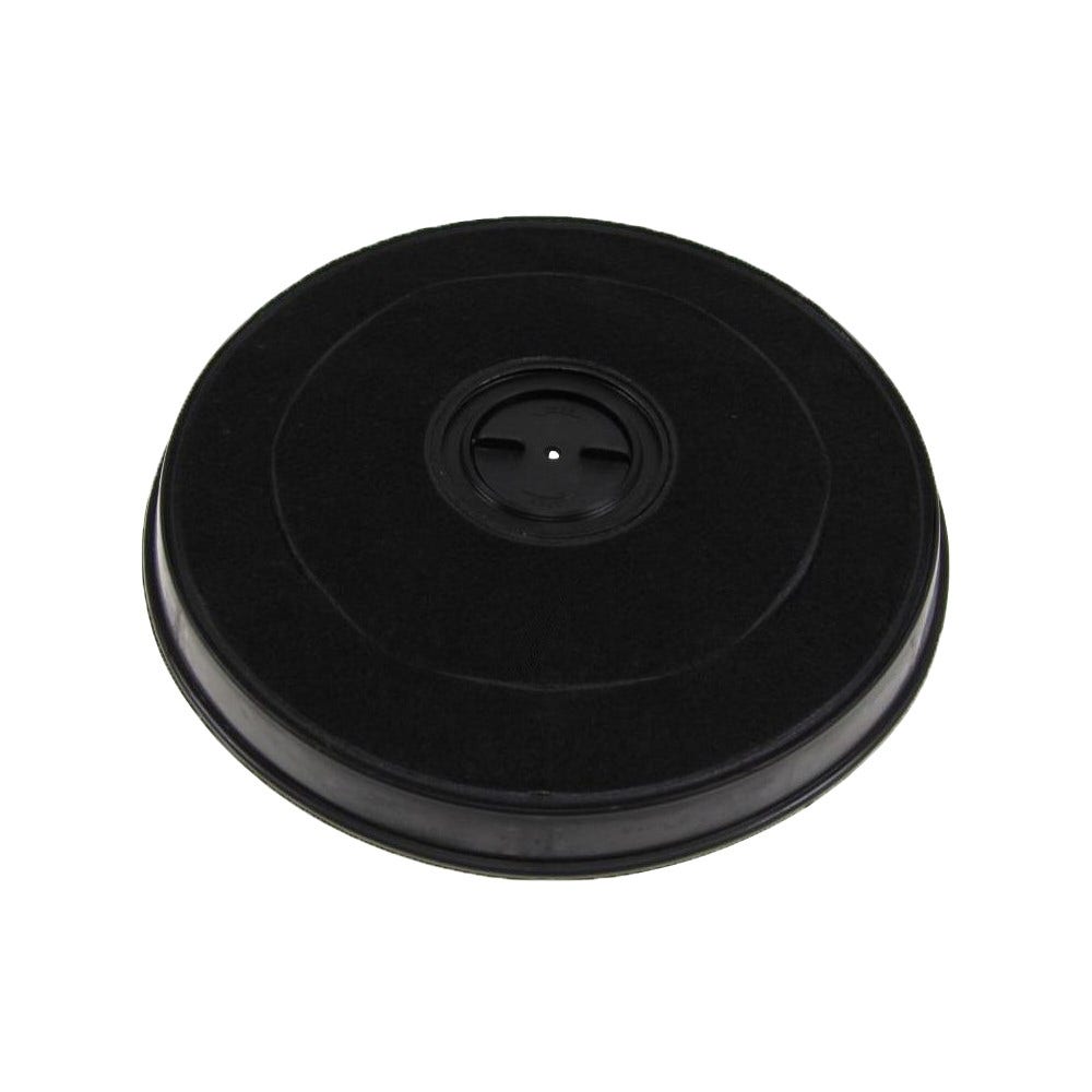 Filtro de carbono DeDietrich AH4041F1