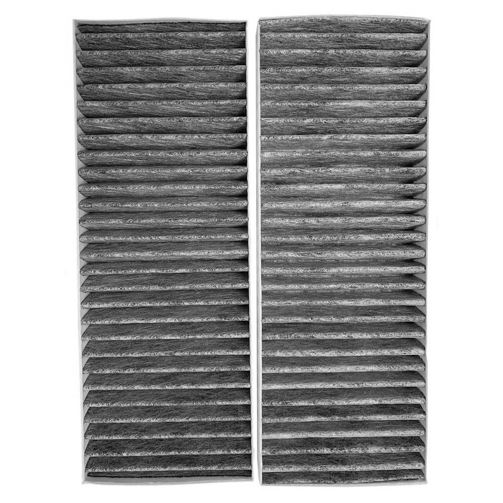Filtro de carbono para campana Blaupunkt AFCFCAASPC90 (x2)