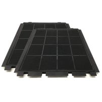 Set de filtros de carbono Airforce AFFCAF153 (x2)