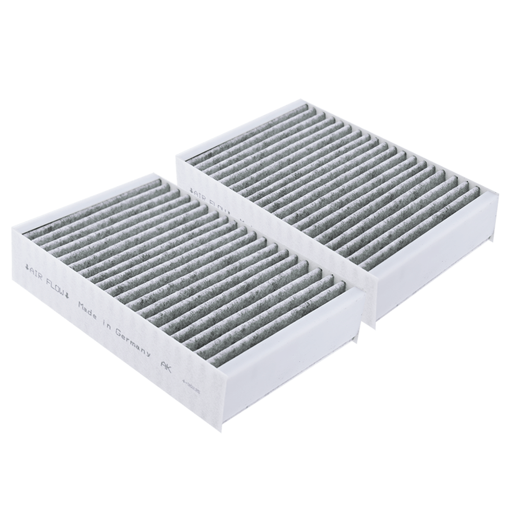 Filtro de carbono compatible con Miele DKF 31-P (x2)