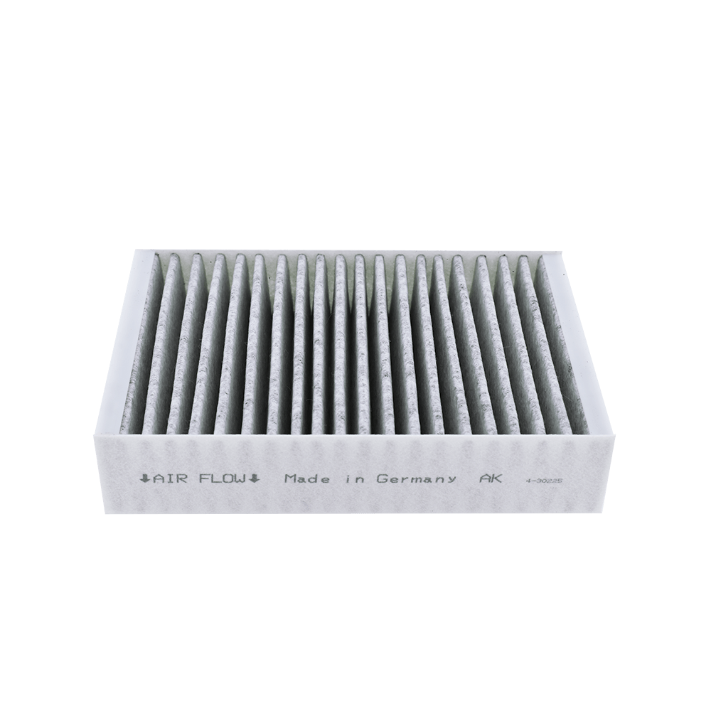 Filtro de carbono compatible con Miele DKF 31-P (x2)