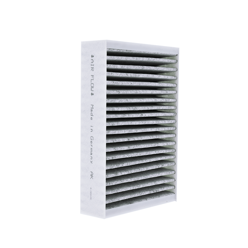 Filtro de carbono compatible con Miele DKF 31-P (x2)