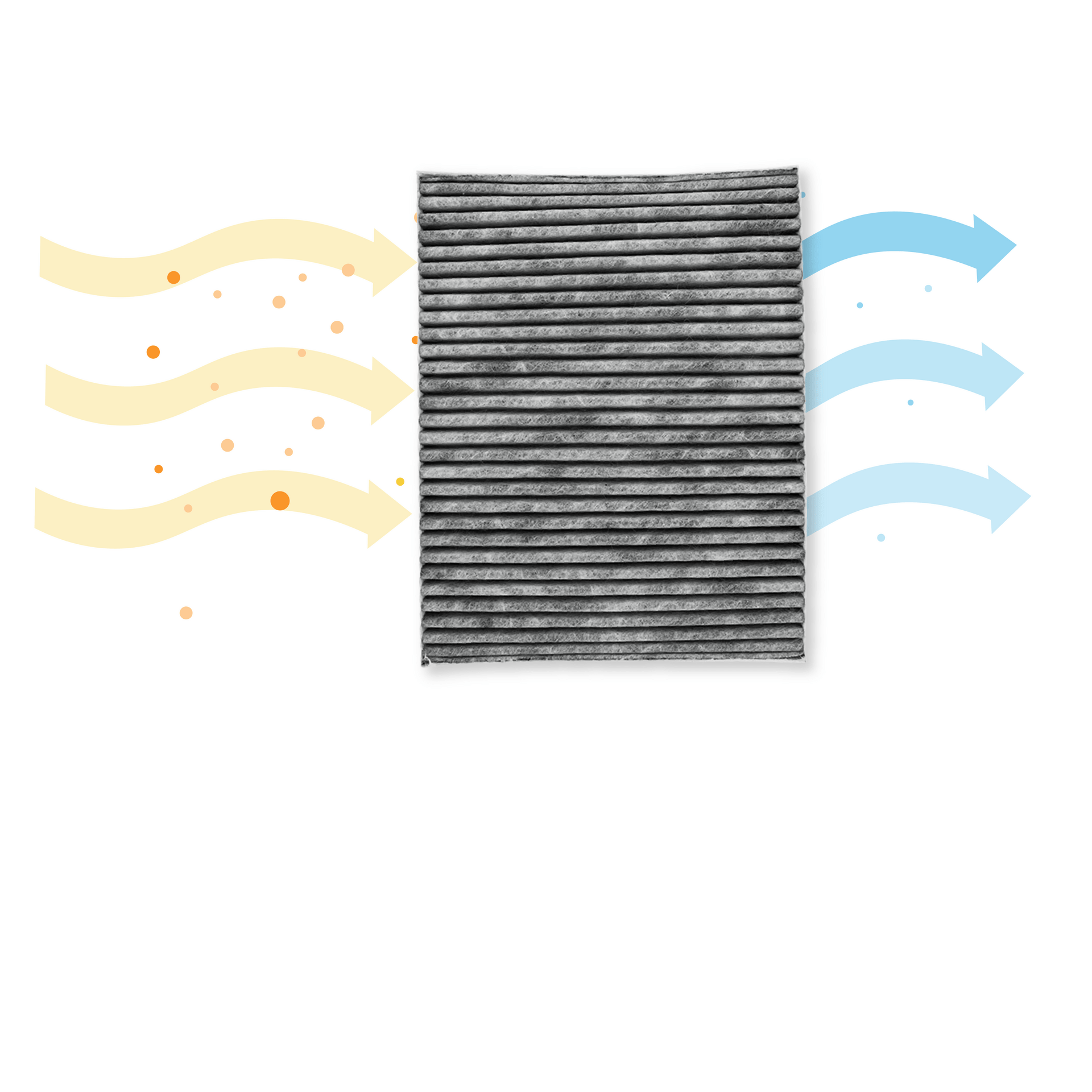 Filtro de carbono CleanAir Plus compatible con Neff 17004039 / Z52JXB1X6 (x3)