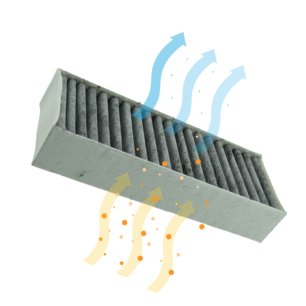 Filtro de carbono CleanAir Plus compatible con Bosch Serie 4 / Serie 6 / Serie 8 (x4)