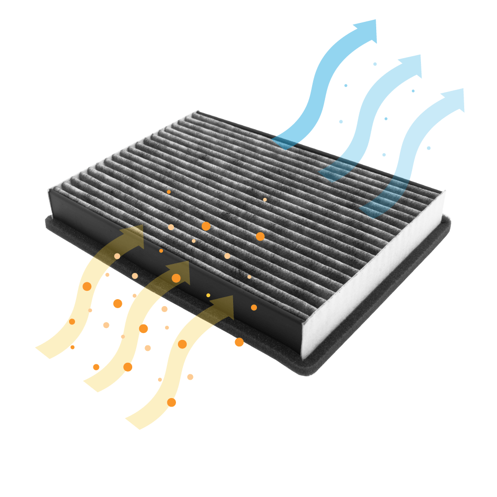 Filtro de carbono compatible con Miele Active AirClean DKF 36-P