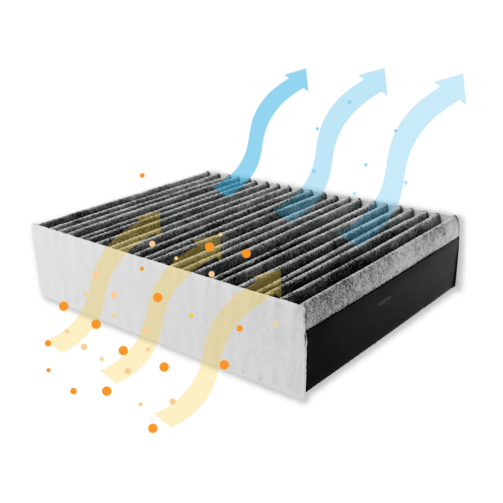 Filtro de olores y polvo compatible con Pelgrim HF3001