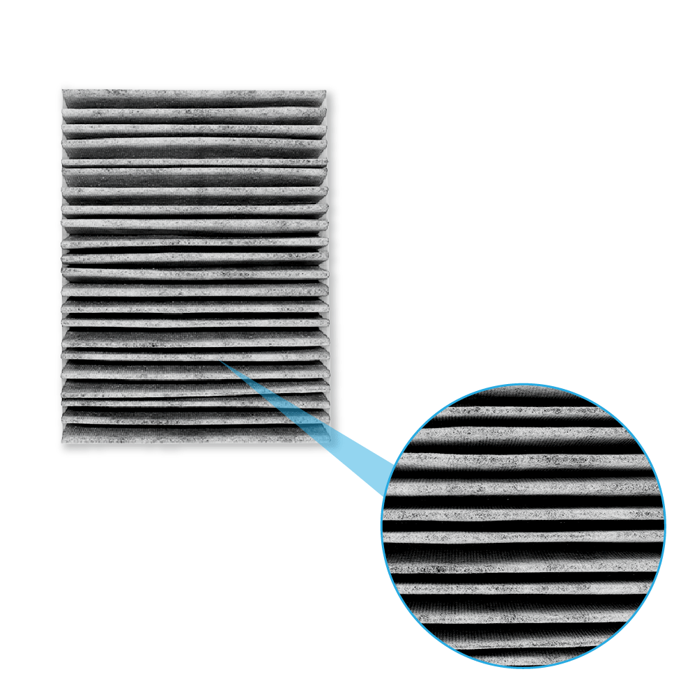 Filtro de olores y polvo compatible con ETNA HF3001