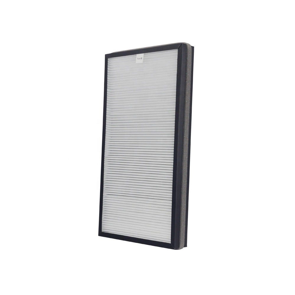 AllSpares Filtro HEPA-Carbón compatible con Boneco A341