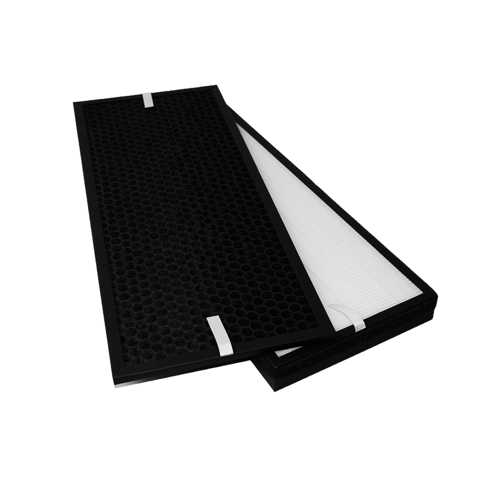 Kit de filtros compatible con Rowenta XD6077F0 / XD6077 / XD6066 (2 uds.)