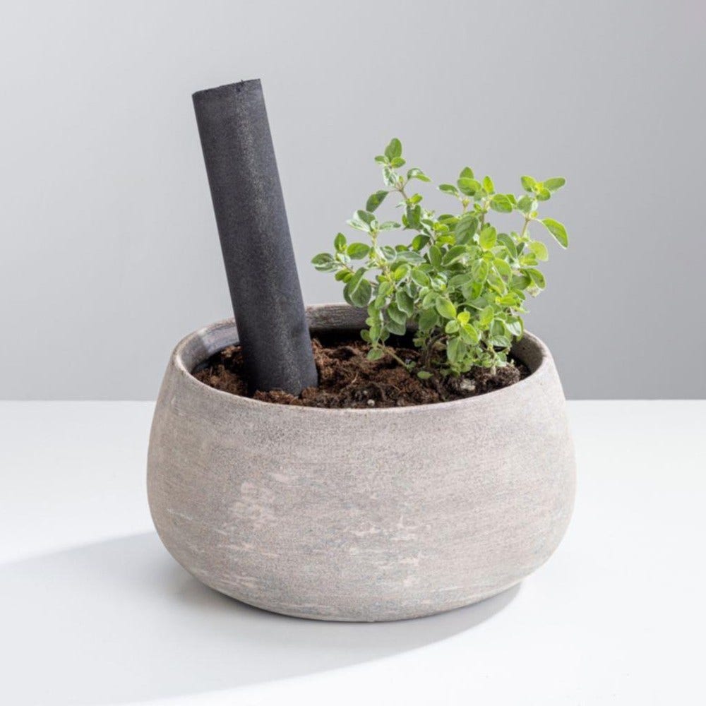 Filtro de frigorífico Compostable WPRO Eco EFC002 /C00852783