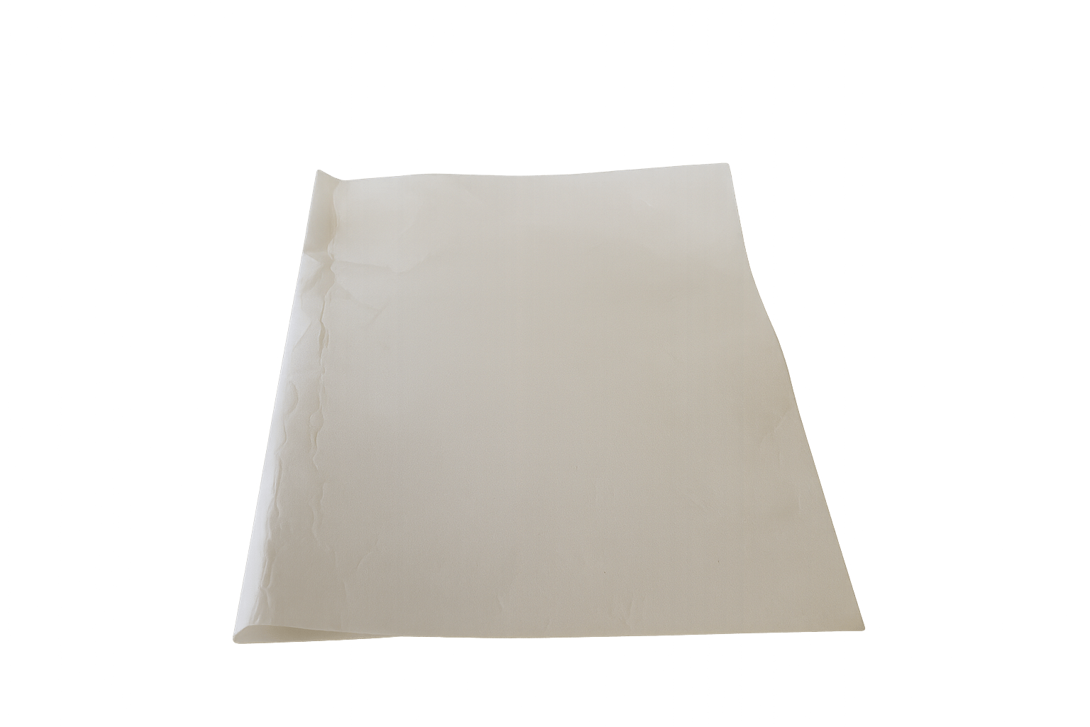 Filtro de grasa Faure 50237070003