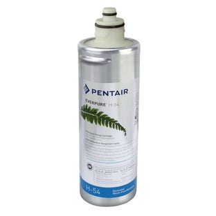 Filtro Everpure H-54 / EV973006 / EV9630-06