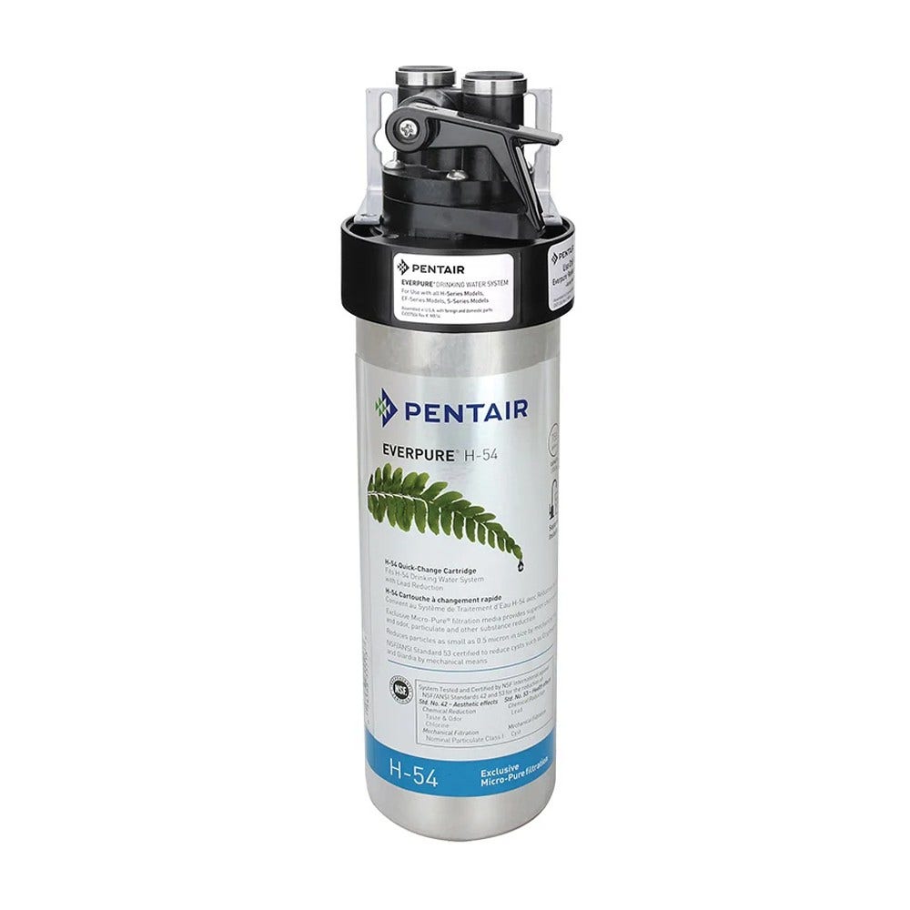 Filtro Everpure H-54 / EV973006 / EV9630-06
