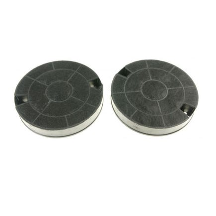 Filtro de carbono Turboair F00366 (2 uds.)