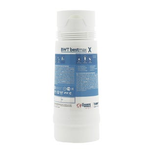 BWT Bestmax X Filtro de agua FS20I00A00