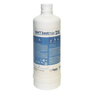 BWT Bestmax 2XL Cartucho de filtro de agua FS30I00A00
