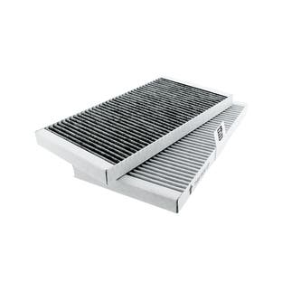 Filtro de olores y polvo fino Gorenje HF3015 (x2)
