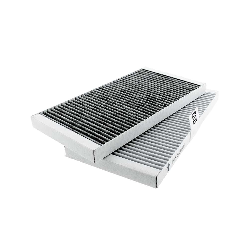 Filtro de olores y polvo fino Hisense HF3015 (x2)