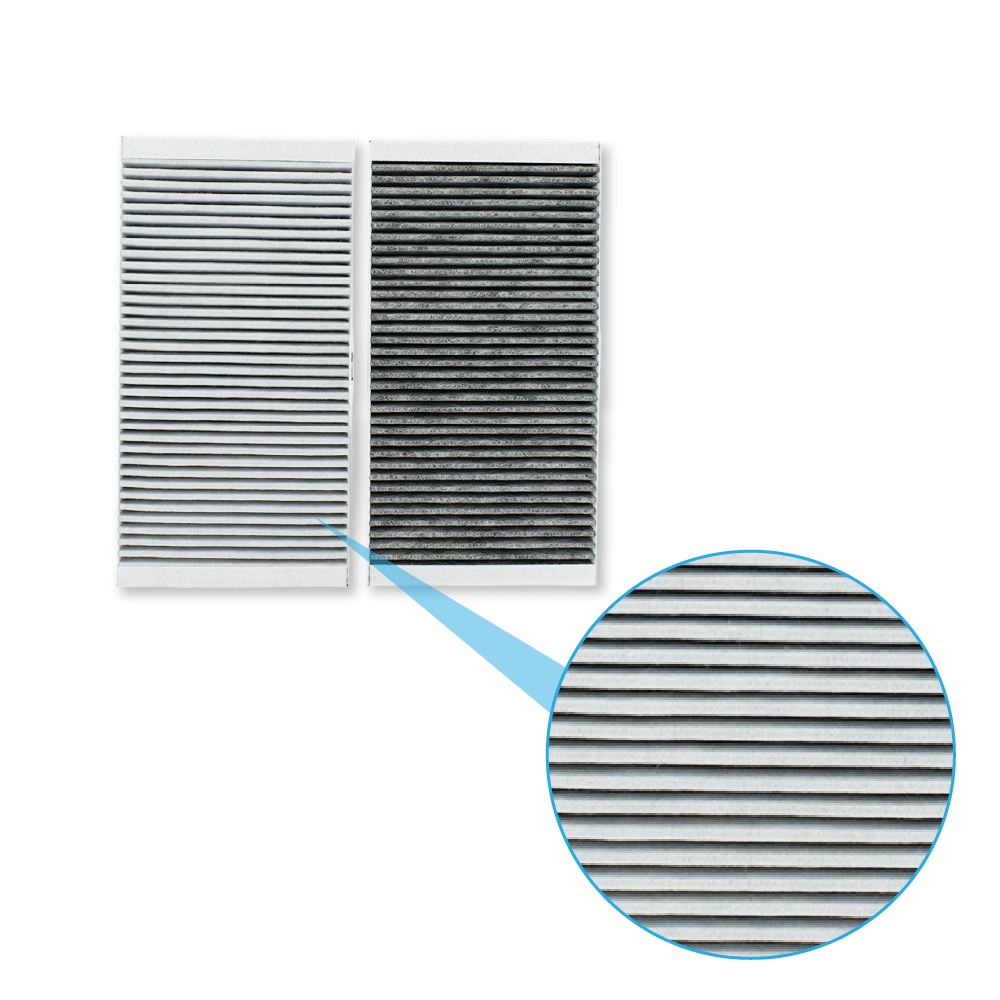 Filtro de olores y polvo fino Gorenje HF3015 (x2)