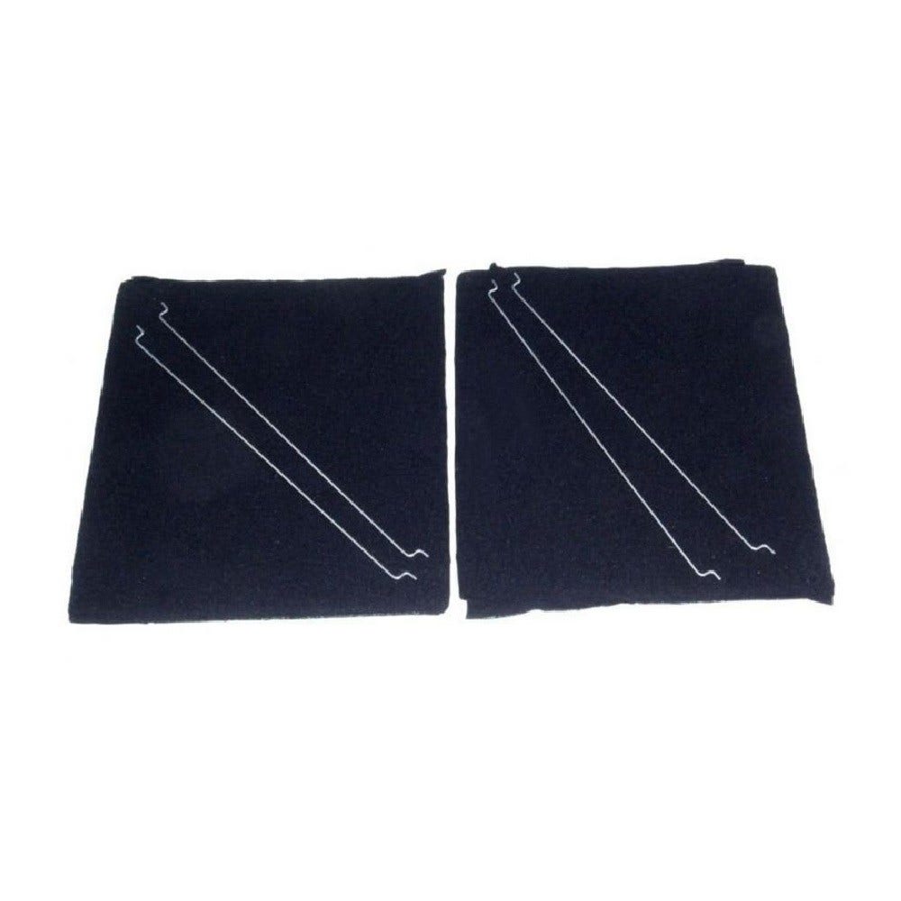 Filtro de carbono Fagor AFC-31 (2 uds.)