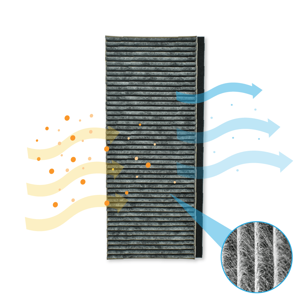 Filtro de carbono CleanAir para campana Blaupunkt 17006837