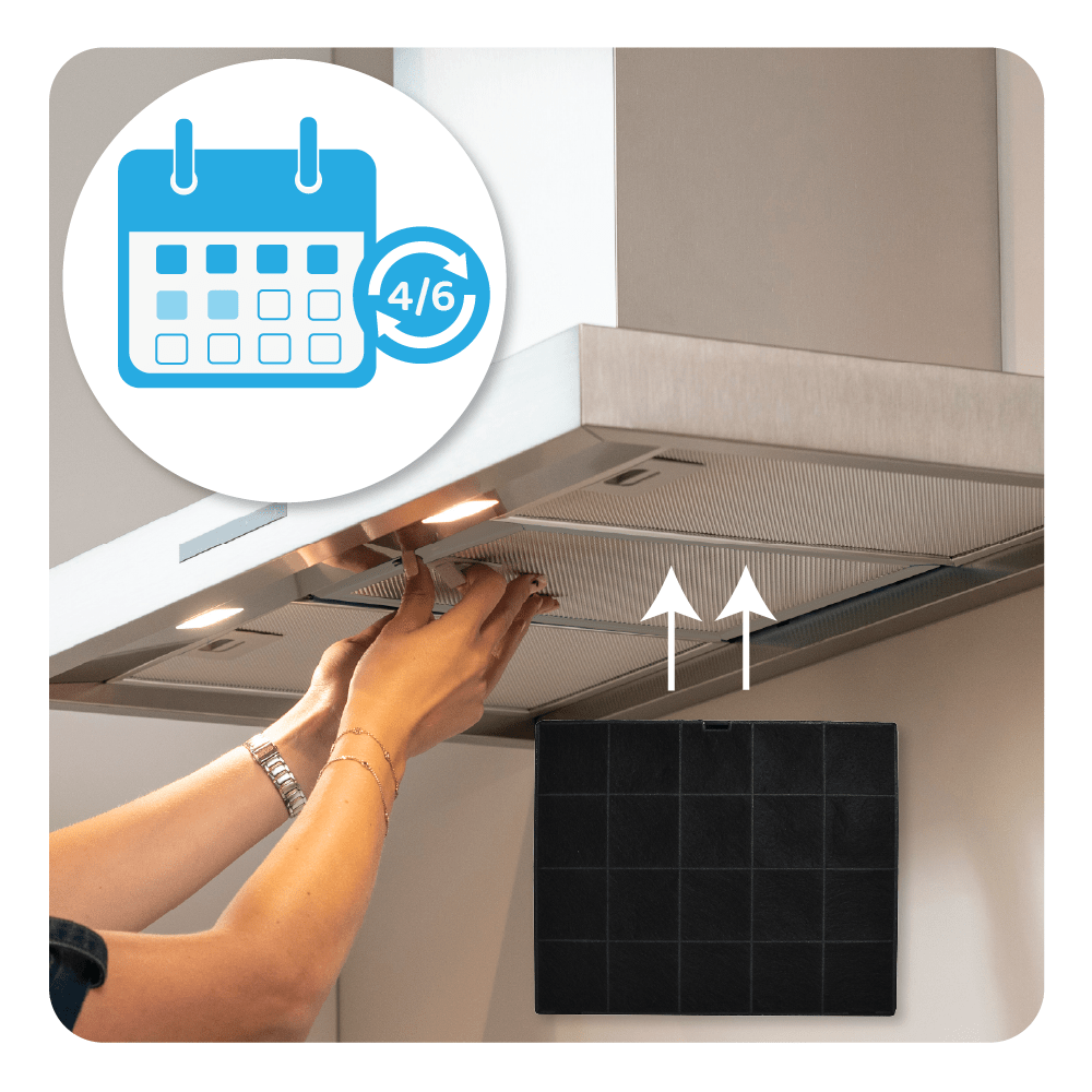 Filtro de carbono compatible con Airforce AFFCAF16 (x2)