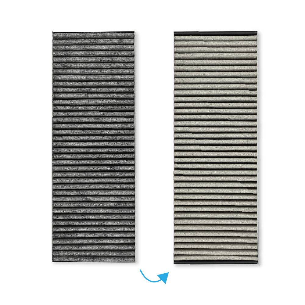 Filtro de carbono BAKFS (anti-olor a pescado) compatible con Bora Basic / BHU / BIU / BFIU / GP4 (x2)
