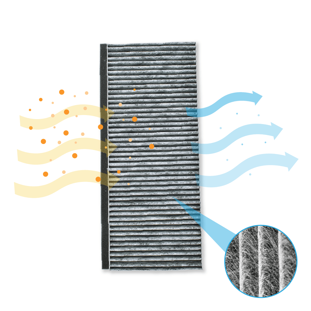 Filtro de carbono compatible con Siemens 17006837