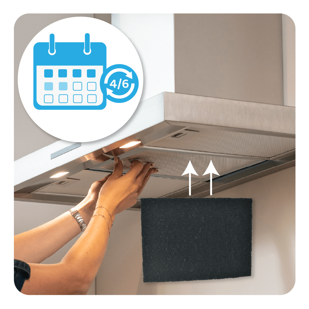 Filtro de carbono compatible con Brandt 79X8361 / AK204AE1 (x3)