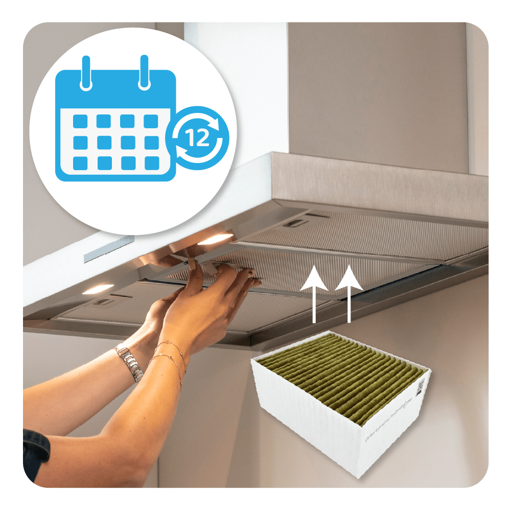 Filtro de carbono CleanAir Plus compatible con Siemens / Bosch 11033934 / 11017314