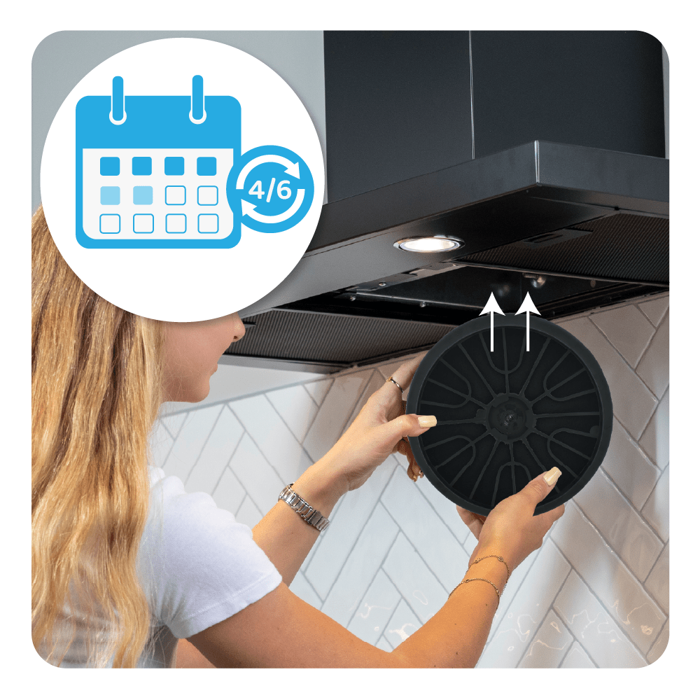 Filtro de carbono compatible con Viva 796390 / 00796390 (x2)