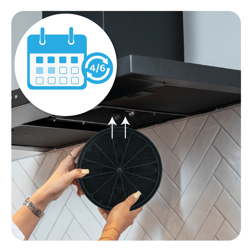 Filtro de carbono compatible con EFF62 / E3CFF62 / FAC529 (x2)