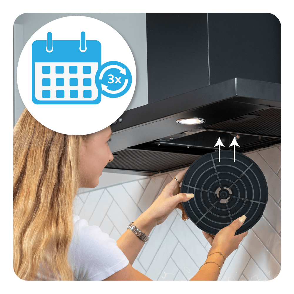 Filtro de carbono regenerable compatible con Pelgrim HF2015 (x2)