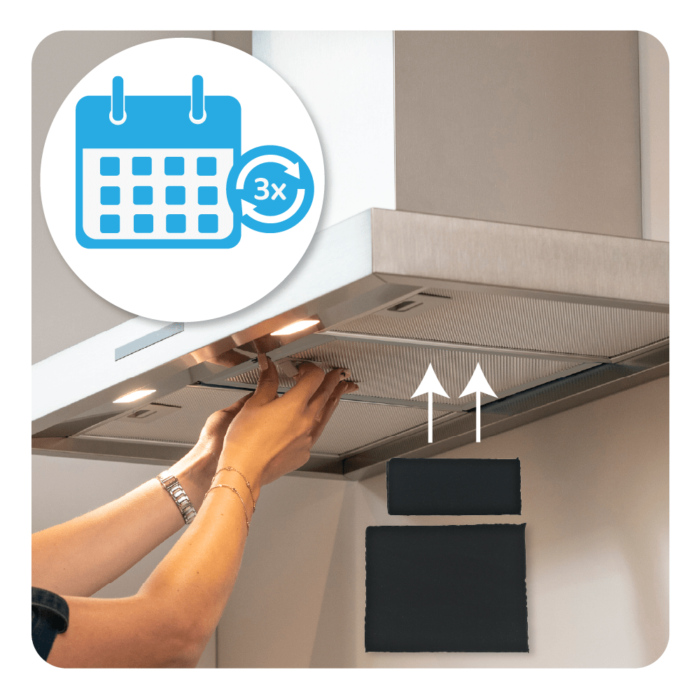 Filtro de carbono Zanussi regenerable MCFB79PL / 9029865863 (2 uds.)