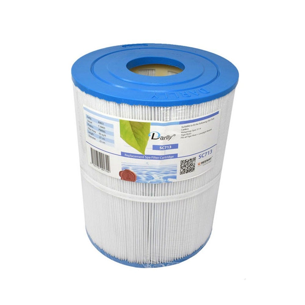 Filtro de cartucho spa Darlly SC713 / 80651 / C-8465