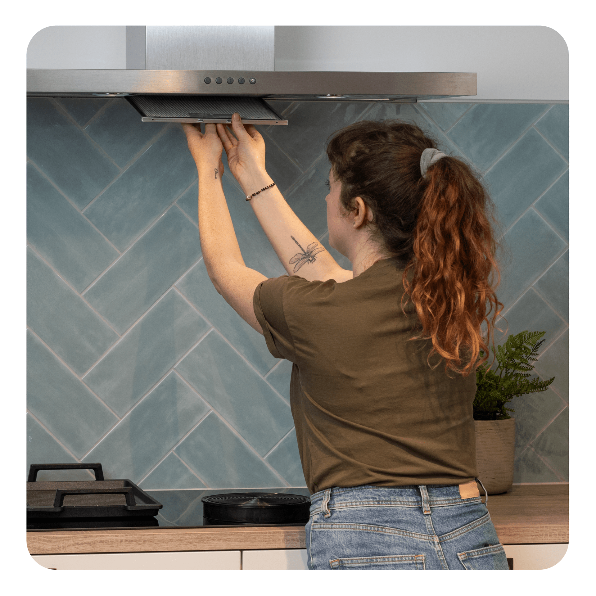 Filtro de carbono Pelgrim KF67 / 34468