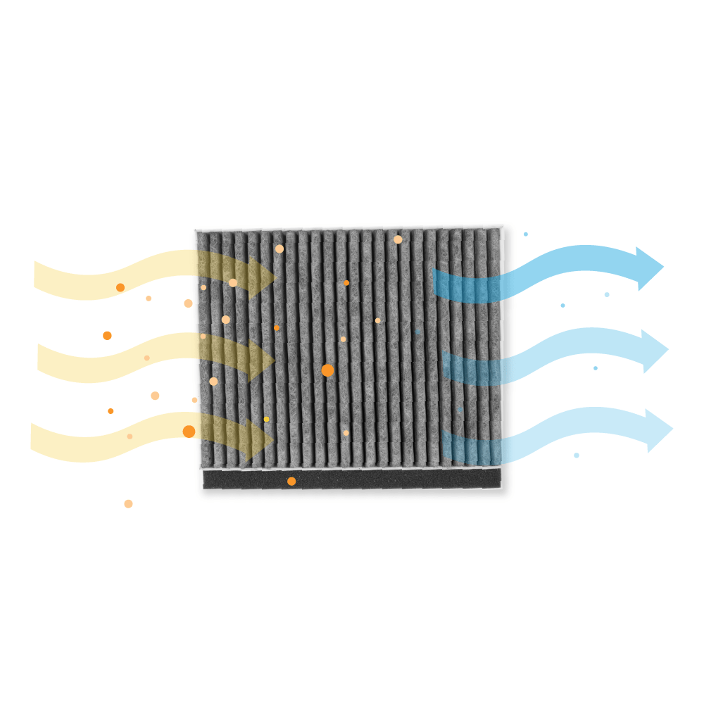 Filtro de carbono CleanAir para campana Neff 17006595