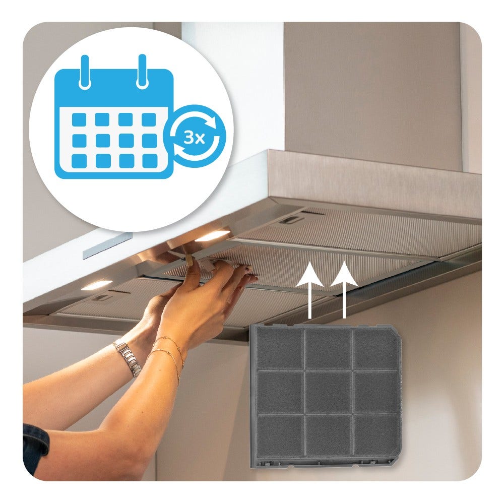 Filtro de carbono regenerable AEG MCFB46PL / 9029865814