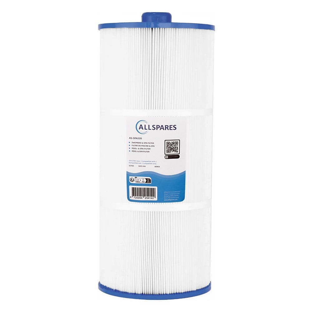 Filtro de agua para spa (2 uds.) compatible con Sundance 6473-164 + 6473-165