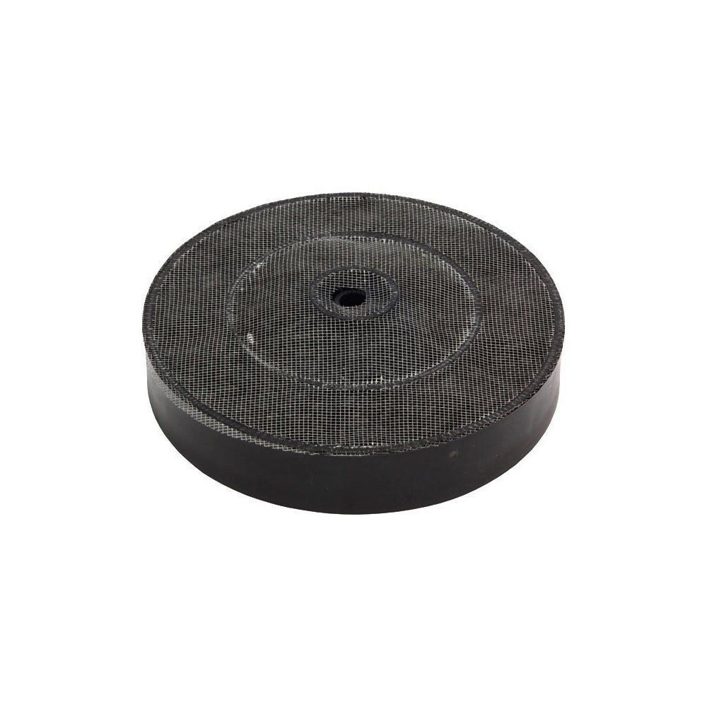 Filtro de carbono Bosch 366302 / 00366302