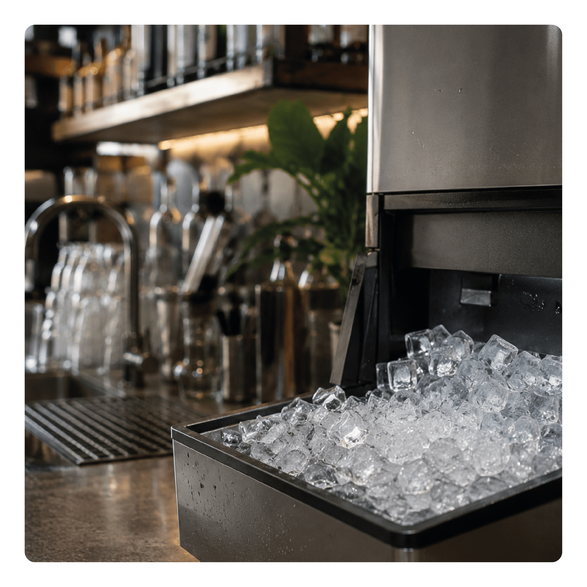 Filtro de agua Everpure i4000² EV9612-32